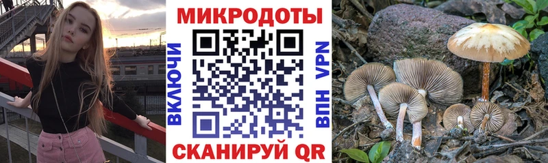 Псилоцибиновые грибы мухоморы  Нерчинск 