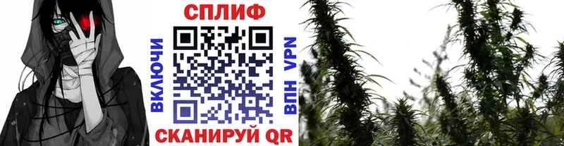 магазин  наркотиков  Нерчинск  Марихуана SATIVA & INDICA 